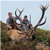 3-DAY RED STAG HUNT FOR 1 HUNTER IN SPAIN