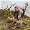 Image 2 : 3-DAY RED STAG HUNT FOR 1 HUNTER IN SPAIN