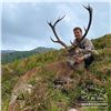 Image 4 : 3-DAY RED STAG HUNT FOR 1 HUNTER IN SPAIN