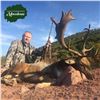 Image 2 : 5 - DAY FALLOW DEER & 1 CENTRAL EUROPEAN MOUFLON FOR 1 HUNTER & amp; 1 NON-HUNTER