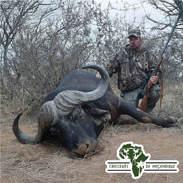 5-DAY GIRAFFE (BULL OR COW) AND 30% TROPHY FEE FOR BULL BUFFALO