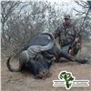 5-DAY GIRAFFE (BULL OR COW) AND 30% TROPHY FEE FOR BULL BUFFALO