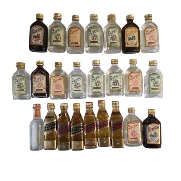 24 Miniature Empty Liquor Bottles - Featuring Dr. McGillicuddy's Flavors and Other Notable Brands