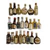 Image 1 : 22 Miniature Empty Liquor Bottles - Featuring Brands Such as Captain Morgan, Schenley, and Brendans