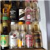 Image 4 : 20+ Vintage Mini Plastic Liquor Bottles - Majority have some evaporation