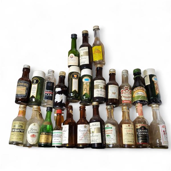20+ Vintage Glass Mini Liquor Bottles - Empty
