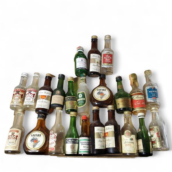 20+ Vintage Glass Mini Liquor Bottles - Empty