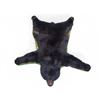Image 1 : Vintage Taxidermy Black Bear Pelt
