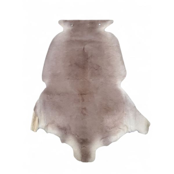 Description coming soon