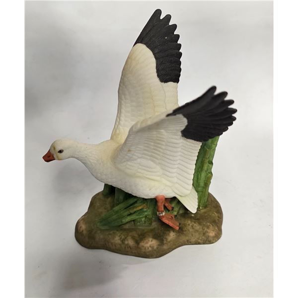 Description coming soon