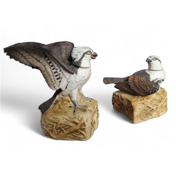 Description coming soon