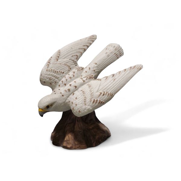 Description coming soon