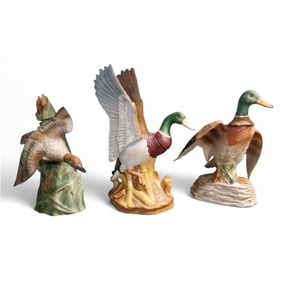 Description coming soon