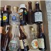 Image 4 : 21 Vintage Glass & Plastic Mini Liquor Bottles - Majority are empty