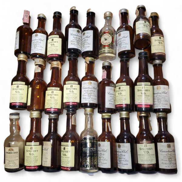 27 Vintage Glass Mini Liquor Bottles - Empty