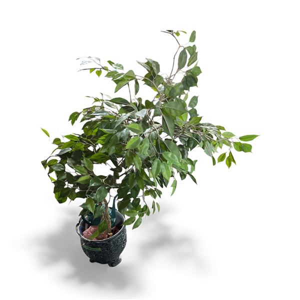 4ft Faux Ficus Tree in Metal Planter
