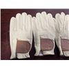 Image 2 : 5 Pcs New Modest Vintage Player - Heritage Leather Golf Gloves - Cream/Brown (Left Hand)