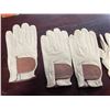 Image 2 : 5 Pcs New Modest Vintage Player - Heritage Leather Golf Gloves - Cream/Brown (Left Hand)