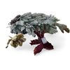 Image 1 : 6 Boxes of Poinsettia Heads, Frosted Leaves, and More (Christmas Forever - Various Models)