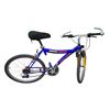 Image 6 : 2 Bike Lot - Green Giant TCX Mountain Bike & Blue Supercycle MBX-1000