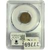 Image 2 : 1909 VDB CAC Wheat Cent PCGS AU58 DDO