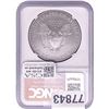 Image 2 : 2008 Silver Eagle NGC MS70