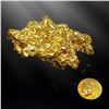 Image 8 : Gold Nugget 7.964 Troy Ounces