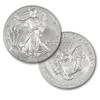 Image 1 : 2010 Silver American Eagle