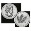 Image 1 : 2010 - (1 oz) Silver Maple Leaf - Brilliant Uncirculated