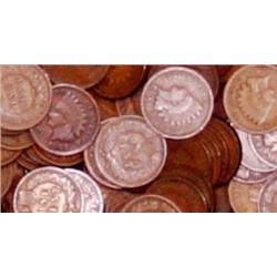 Lot of 50 Indian Head Pennies