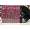 Image 1 : Hugo Montenegro - Good Vibrations (Vinyl LP, 1969, RCA Victor LSP-4104)