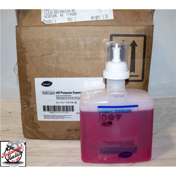 CASE OF DIVERSEY ALL PURPOSE FOAM