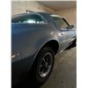 Image 3 : 1977 Pontiac Firebird Esprit