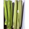 Image 2 : Vintage Green Curtains