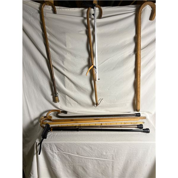 Specialty & Traditional Canes