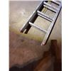 Image 2 : 13' Extension Ladder