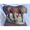 Image 8 : Century Exclusive Mare & Foal 1-A