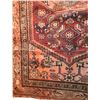 Image 3 : Hand Knotted Persian Wool Rug Zahjan 3-C