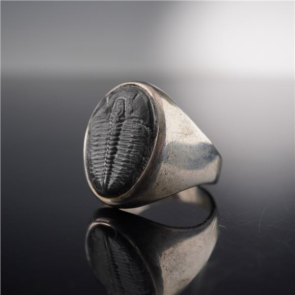 Trilobite Fossil Set in Modern Silver Ring