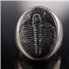 Image 4 : Trilobite Fossil Set in Modern Silver Ring