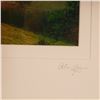 Image 4 : Alan Klug, Color Photograph on Paper, Villa Toscana, Signed & Numbered