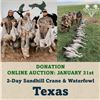 Image 1 : 2-Day Sandhill Crane & Waterfowl in Texas