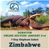 Image 1 : 7-Day Elephant Safari in Zimbabwe