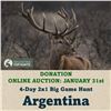 Image 1 : 4-Day Big Game Hunt in Argentina