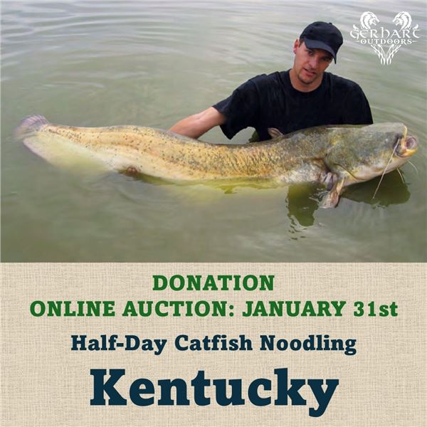 Half-Day Catfish Noodling in Kentucky