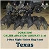 Image 1 : 2-Day Night Vision Hog Hunt in Texas
