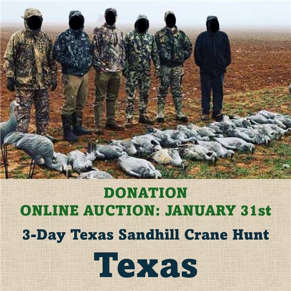 3-Day Texas Sandhill Crane Hunt for 2