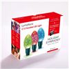 Image 1 : Lumations Holiday Symphony C12.Christmas Classic Light Extensions