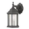 Image 1 : Transglobe Lighting Outdoor Lantern Wall Fixture KDL1BK