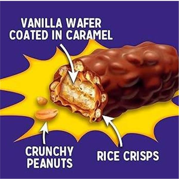 Cadbury Mr. Big 24-Pack of 90g Bars Display Case